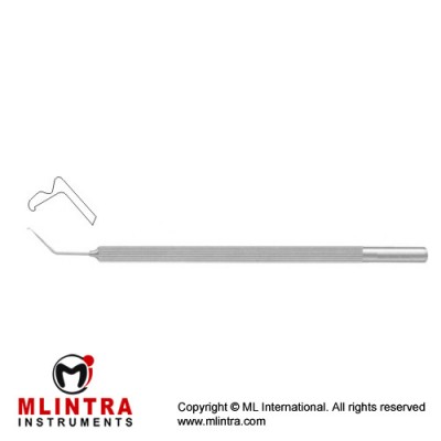 Fukasaku Snapper Hook & Small Pupil Wedge Shaped Stainless Steel, 11.5 cm - 4 1/2"